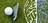 The Art of Concentration: 10 Tips for Improving Focus on the Golf Course